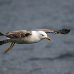 <b>.. nízký průlet .. </b>