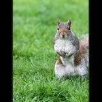 <b>.. děsně to svědí ..</b>