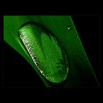 ***NESKUTEČNÝ SVĚT***