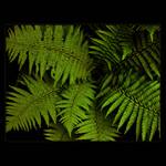 <u>***GREEN_VELVET***</U><B>