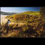 ..Šumavské pohlednice ..  Ráno pod Kvildou II