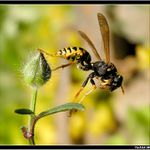 *** simulace pádu ze schodů ***