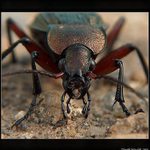 ...se raději vyhni...