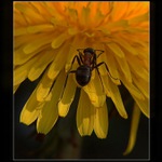 do středu ... ve středu ...