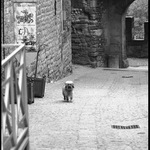 Carcassone