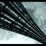 ...orbitalis diagonalis...