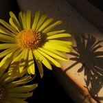 Jen takové lehounké sluneční pohlazení