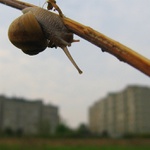 Z výšky tiše žasnu