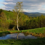 Podvečer v Novohradských horách II.