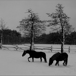 Zamračený podvečer