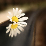 komp-tech. cvic. 018