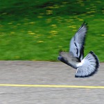 podvozek vytáhnout!