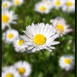 Já, já, já, jenom já