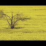 <b>dověčnosti</b> - čtvero ročních dob <b>- jaro</b>