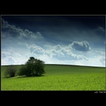 ..:: ČeskosibiŘsko ::..