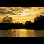 ..:: THE konec ::..
