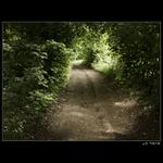 ..:: taJemná ceSta ::..