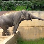 nespadnu, nebojte lidi :)