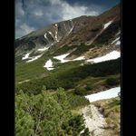 Nízké Tatry - pod Chopkom
