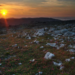 Podvečer na Hvaru II