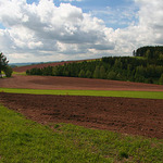 Dnes v Orlických horách