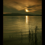 Lipenská zátiší V.