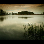 Třeboňské rybníky - obraz I.