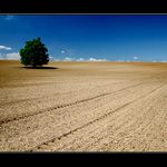 ...malotraktorem....:o))