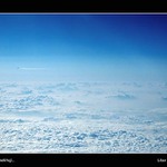 ...kam ptáci nelétají...