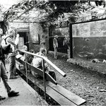 Zoologické zrcadlení III: Šupiny, které znamenají svět