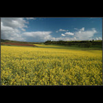 Trojpolní hospodaření…