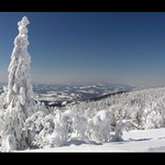 **zimní pohlazení**