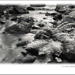 <u>::.kapradie.::</u><b>