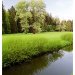 Průhonický park V.