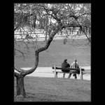 Tichá zákoutí rušného města.