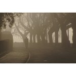 ...povůni...<br>...pohmatu...<br>...poozvěnách...