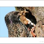 To čumíš jaký mám chutný červy co?