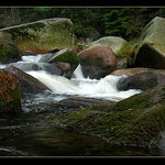 Kde se ráchá Vydrýsek ?