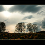 ** Před usnutním **