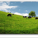 <b> Jen taková kravina :-)</b>