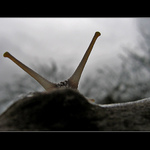 <b> ... @ ... </b> 1/3