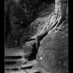 Bloudění ve skalách