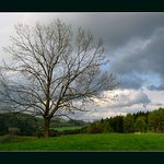 KRASAVEC S VÝHLEDEM NA KOTEL