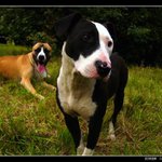 Zas nas fotis? Tato sa im nebude pacit na PP