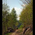 ... pod Novým Hradem