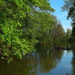 o s e c k ý rybník