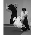 aikido