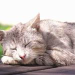 Krásy Lednického zámku