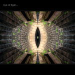 Eye of tiger