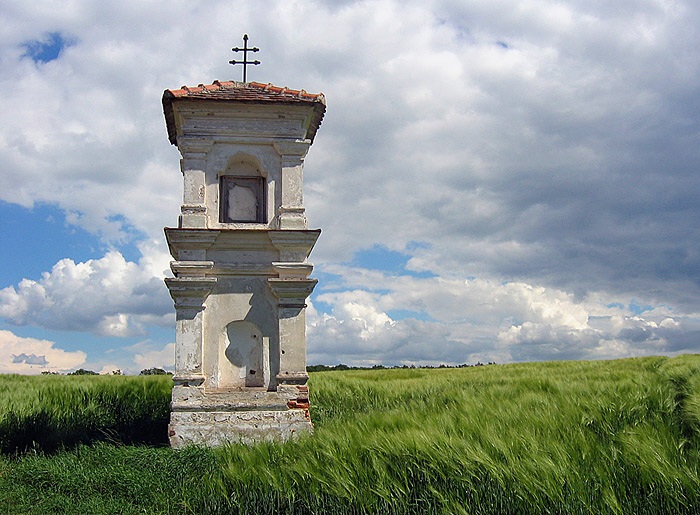 <b>Muka v ječmeni I.</b>